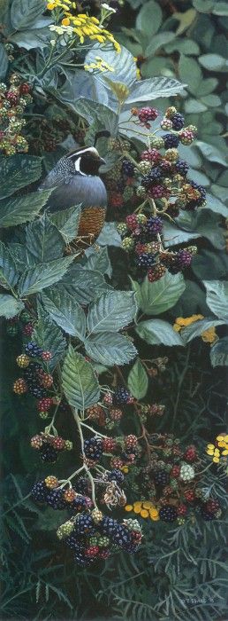 kb Isaac Terry-Brambles and Brass Buttons. , 