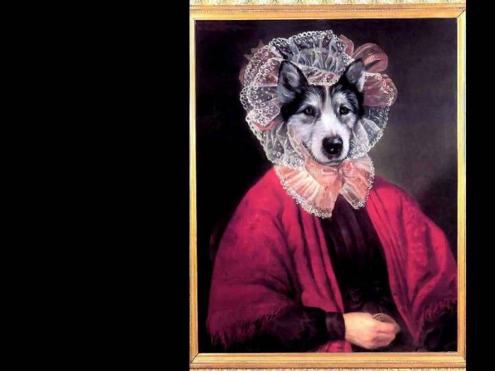 dog portraits csg045 madame blahatska. , 