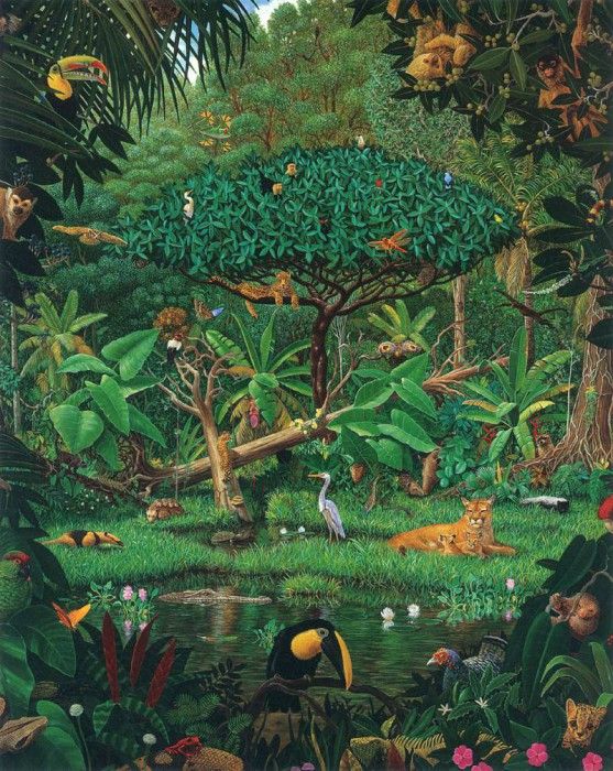 kb Bragg CL Secrets of the Rainforest. ,  