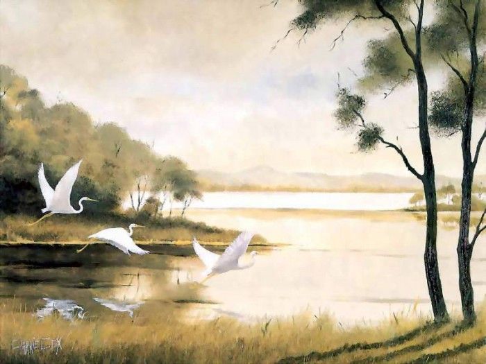 clarrie cox csg039 myall lakes national park. , 