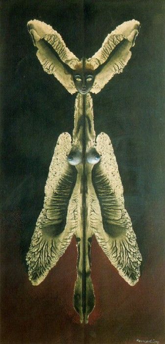 11547. Varo, 