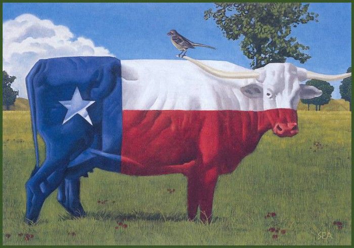 lrsSPEC11-305-AndersonScott-Texas. , 
