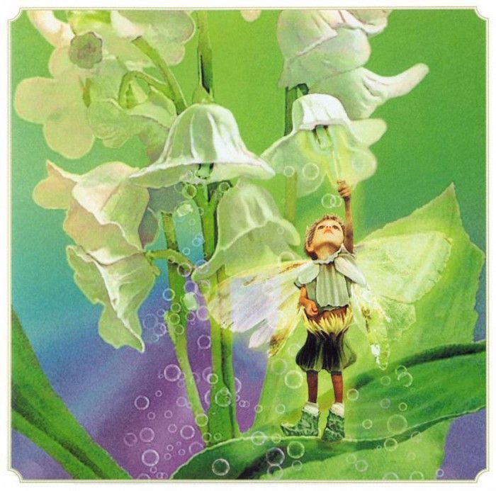 kb Cross Tom Sp Lily of the Valley Fairy. , 