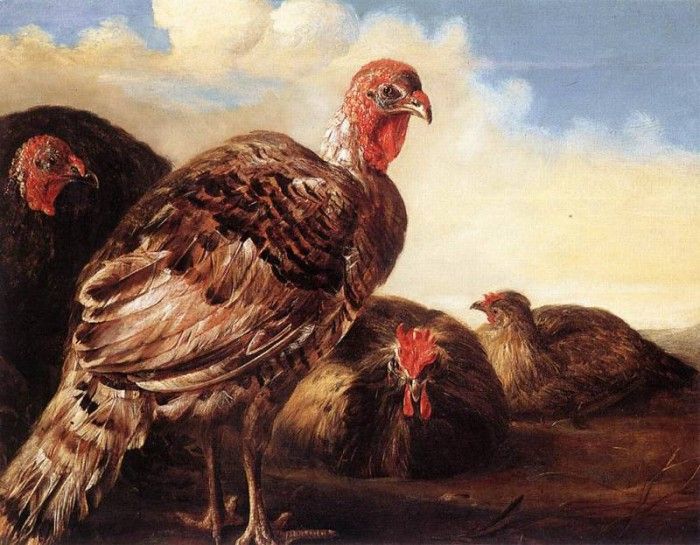 CUYP Aelbert Domestic Fowl. , Aelbert