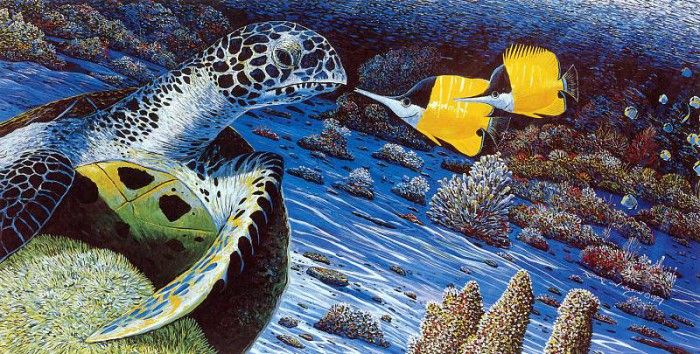 kb RLN The Butterfly and the Turtle. ,  