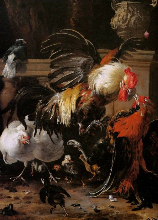 DHondecoeter Melchior Roosters fighting Sun. DHondecoeter, 