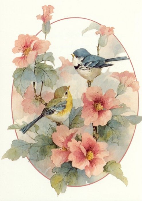 kb Wright Carolyn-Warbler Spring. , 