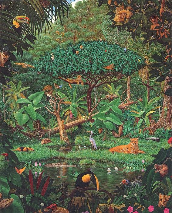 bs-na- Charles Lynn Bragg- Secrets Of The Rainforest. ,  