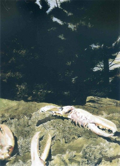 File9731. Wyeth, 