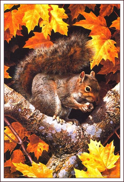 bs-na- Carl Brenders- Golden Season- Gray Squirrel. Brenders Karl