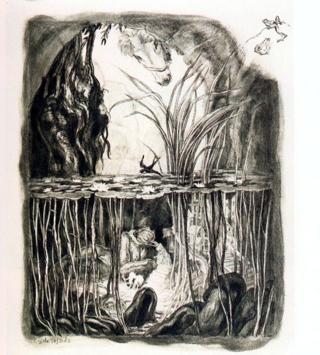 41651. ������, ������ ����� ��