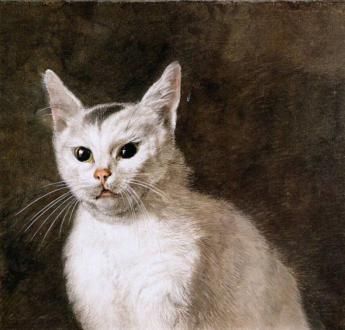 Hendriks Wybrand White cat Sun. , Wybrand