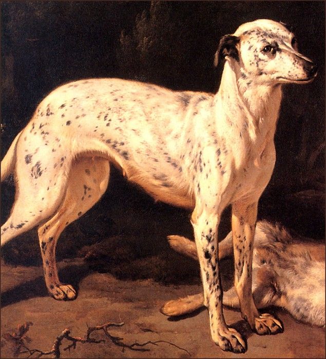 bs-ahp- Jean- Baptist Weenix- Dog Standing By A Dead Hare[detail]. Weenix, -