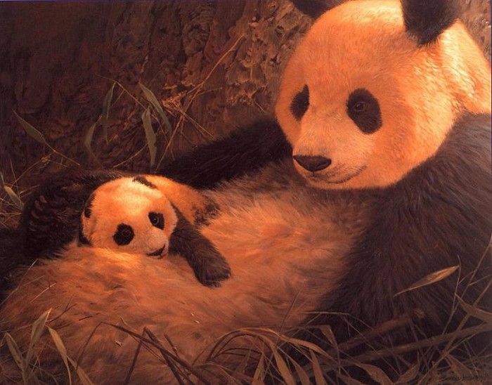 lrs Seerey Lester John Giant Panda With Young. Seerey- 