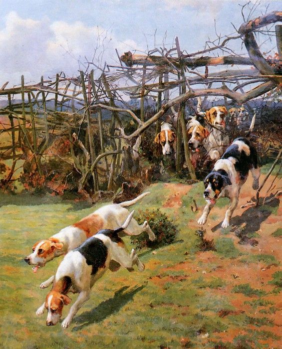 Dodd Arthur Charles Through the fence Sun. , 