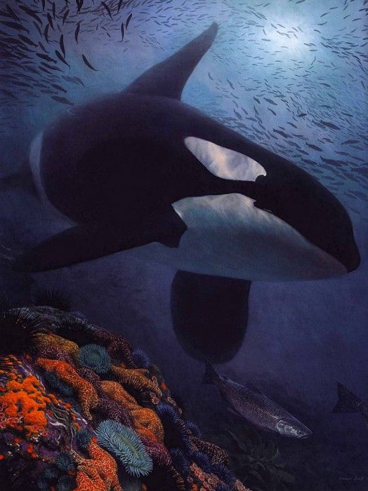 lrsScottRandall-SalmonHunter. �����, �������