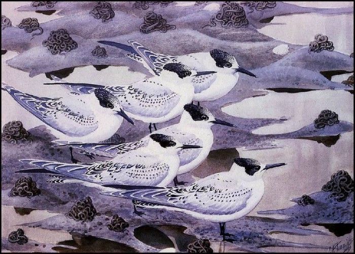 43630. Tunnicliffe, 