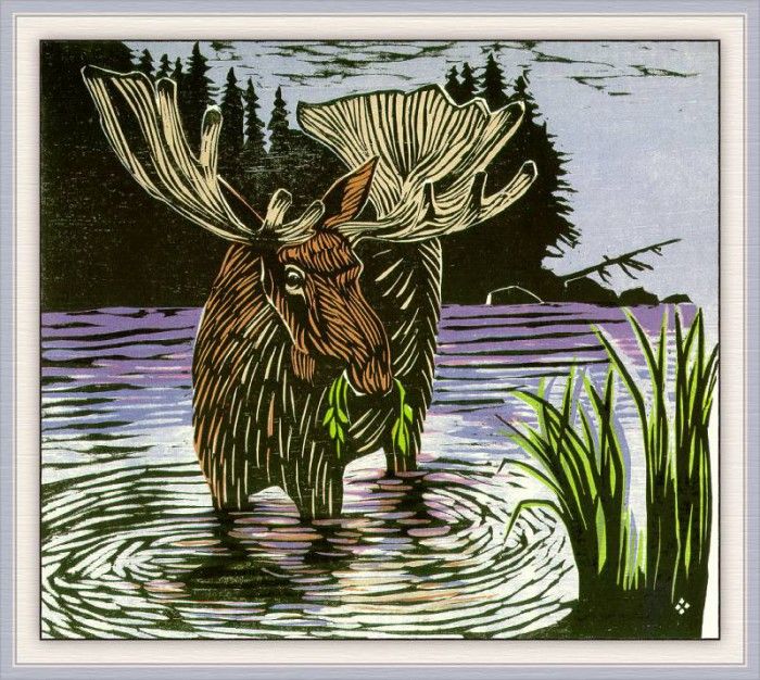 BowenBetsy TracksInTheWild 13 sj. �����, �����