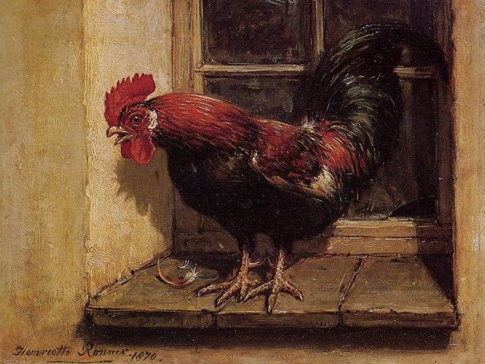 Knip-Ronner Henrietta Rooster Sun. Ronner Knip-