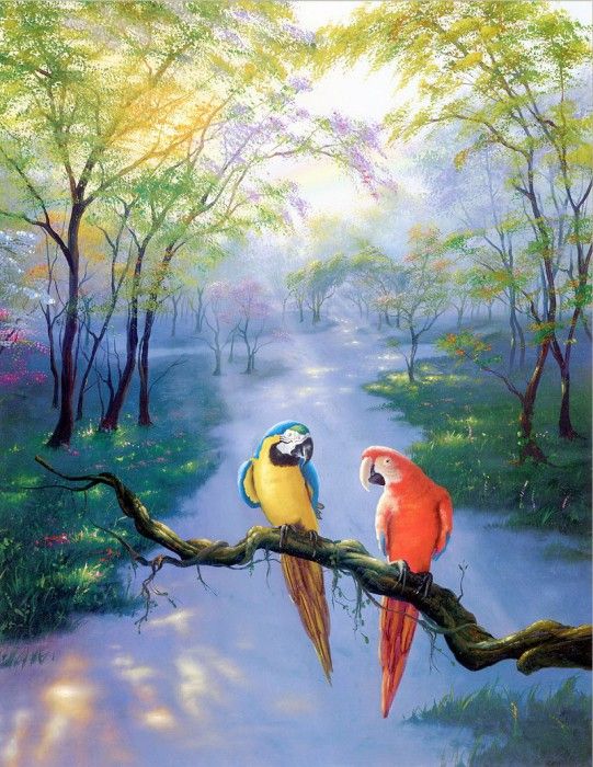 Colors of the Rainbow. , 