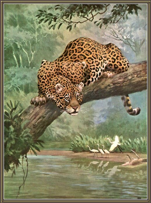 cr WalterWebber-01-Jaguar. , 