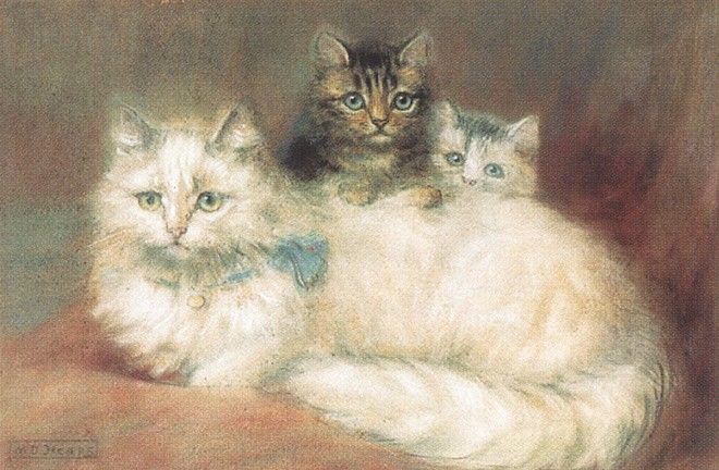 bs-cc-Persian Cat & Her Kittens [Maude D Heaps]. ,  D