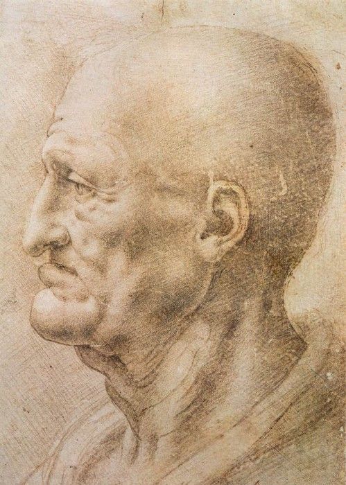 Leonardo da Vinci Profile of an old m. ,  