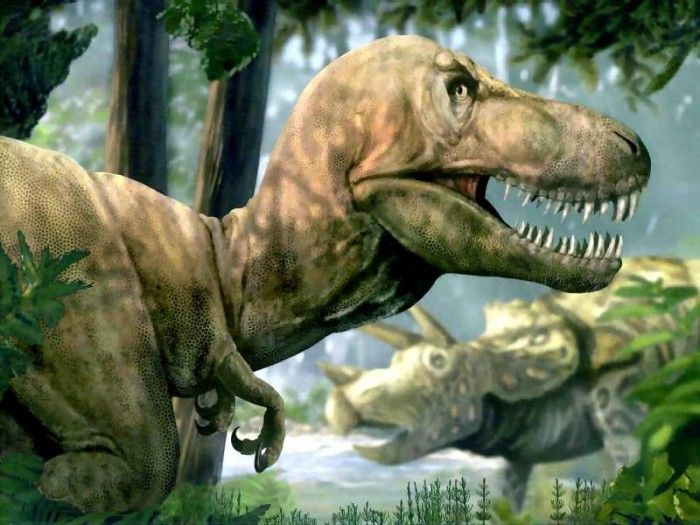 dinosaurs csg011 tyrannosaurus rex. , 