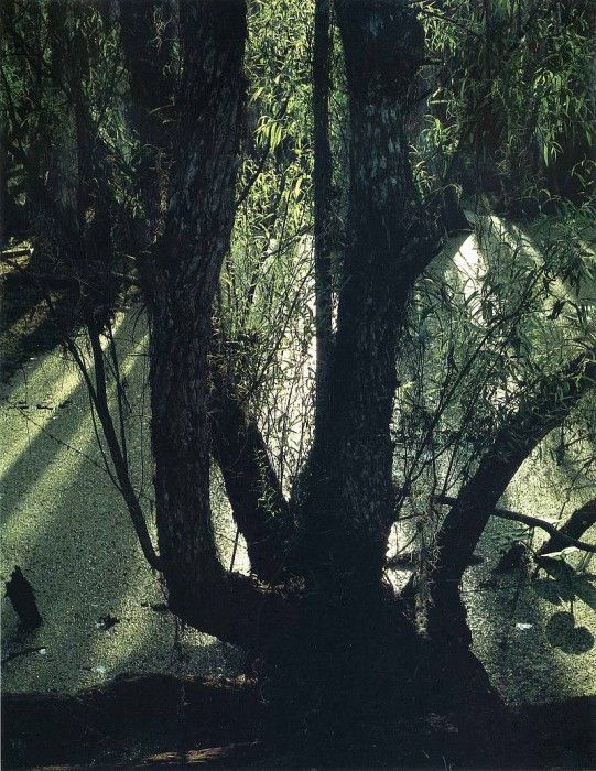 art 742. ������, �����