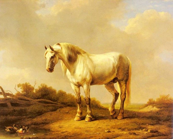 Verboeckhoven Eugene Joseph A White Stallion In A Landscape. Verboeckhoven,  