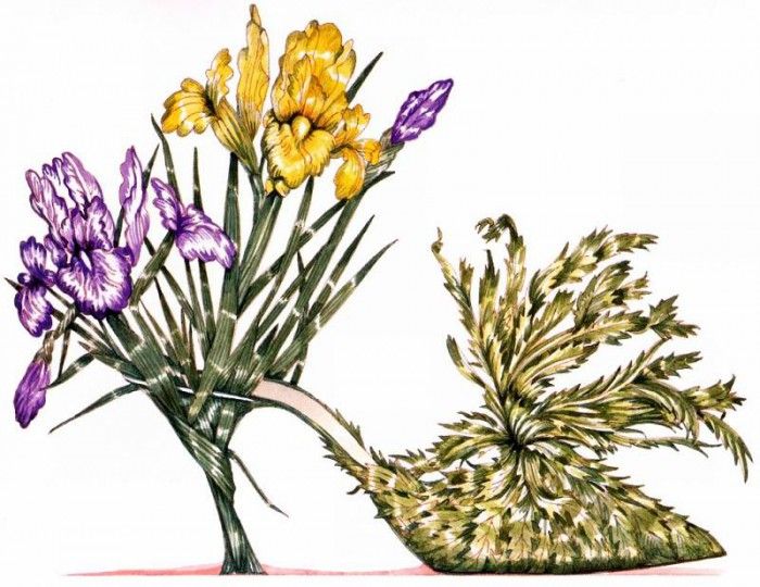 Dennis Kyte - Iris & Escarole, De. , 