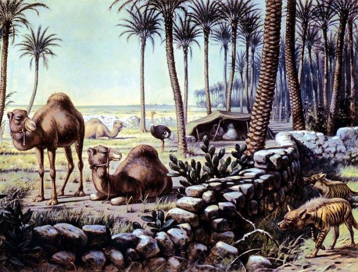 Koekkoek MA Nature 4 Sun . Koekkoek, Adrianus ������