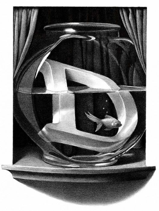 Z 004 The D was Nearly Drowned ChrisVanAllsburg sqs. Allsburg, ���� ���