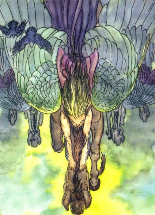 vc kaluta06. Kaluta, �����