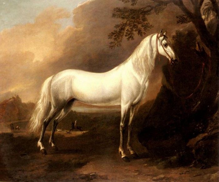 Wyck Jan A Grey Arab Stallion In A Landscape. , 