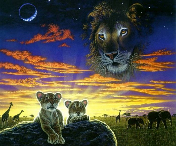 05b. Schimmel, ������