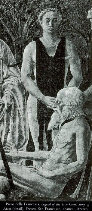 Piero (3). ,  