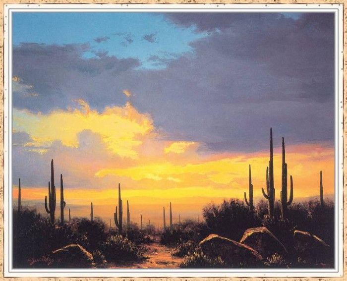 JenningsWilliamScott SaguaroSunset-We. ,  