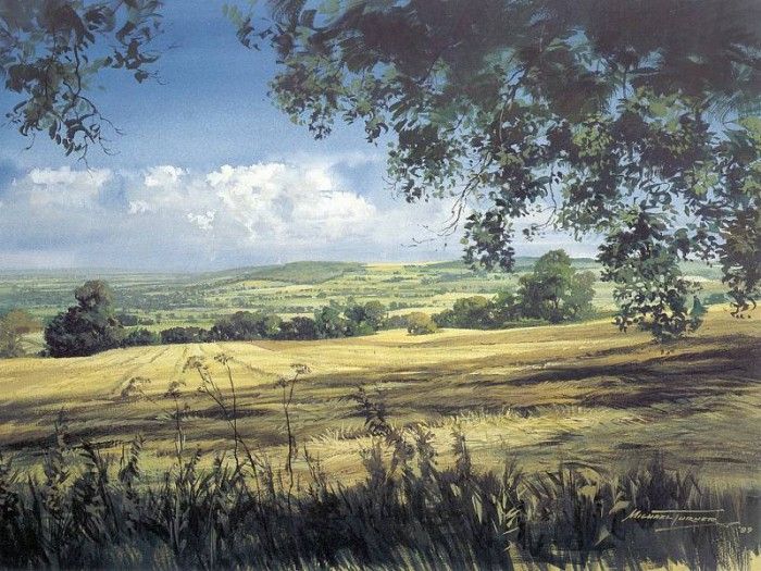 c mta midlands landscape at the height of the english summer. ������, �����