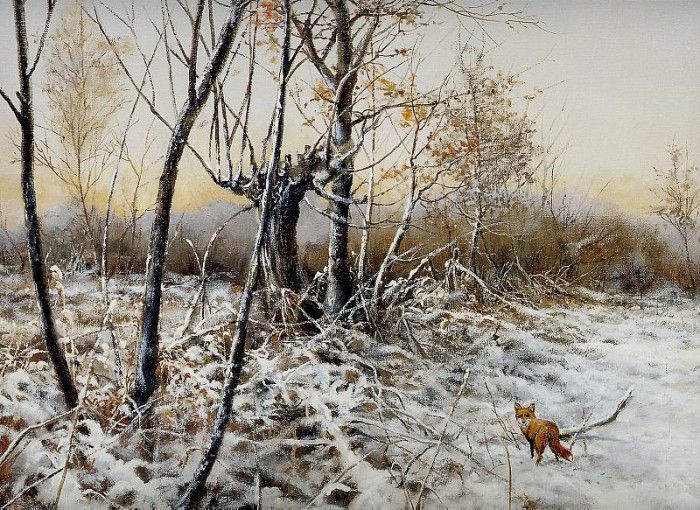 Verstappen Pieter Nature 70 Sun. Verstappen, �����