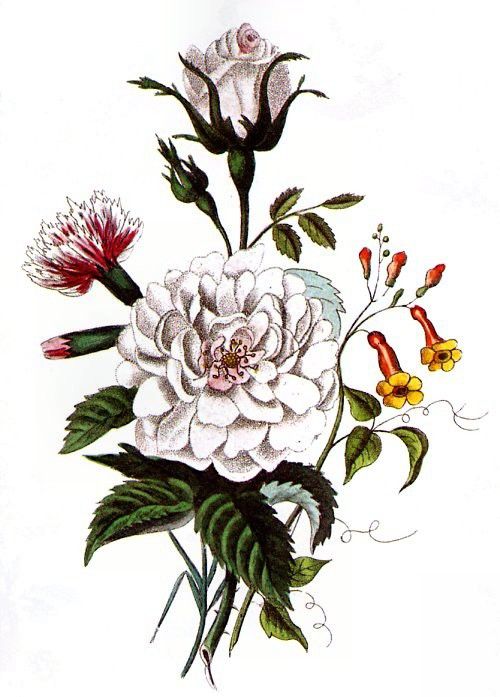 Barbara Milo Ohrbach - A Token of Friendship 07, De. Ohrbach, ������� Milo