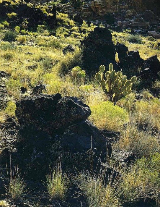 File4913. ����� ������ - ����� (���)