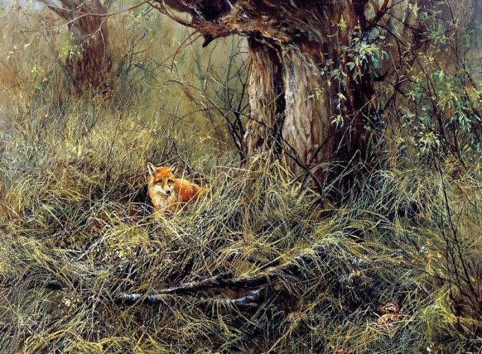 Verstappen Pieter Nature 40 Sun. Verstappen, �����