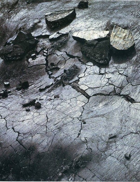 art 702. ������, �����