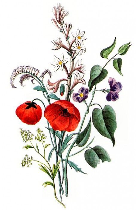 Barbara Milo Ohrbach - A Token of Friendship 05, De. Ohrbach,  Milo