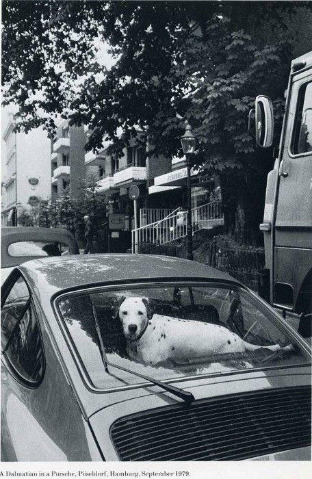 image 335. Eisenstaedt - 