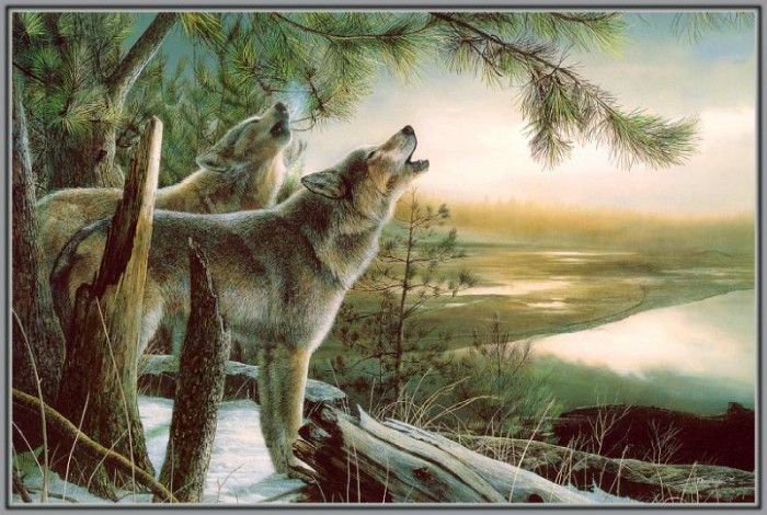 KevinDaniel CallOfTheWild (sj-art302). , 