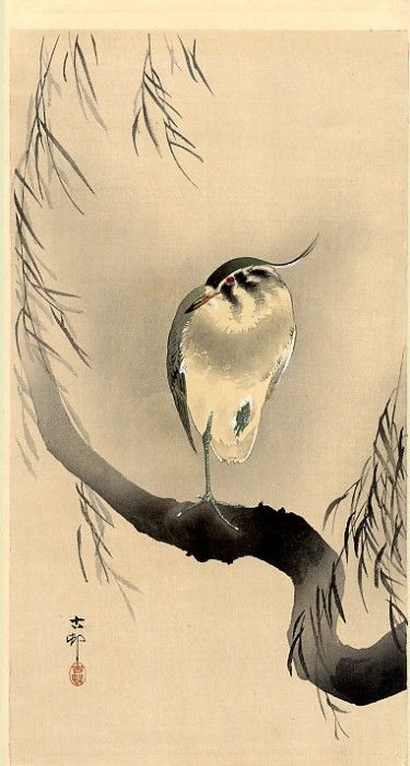 pic09368. �����