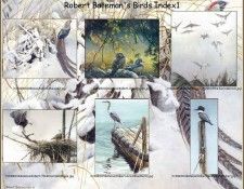 lrsrBatemanBirdsIdx01. Bateman, 