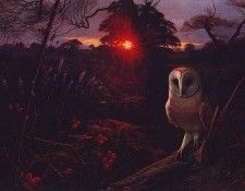 lrs Booth Raymond Barn Owl On A Winter Eve. , 